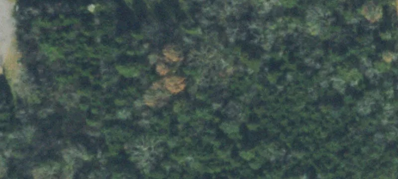 Unrestricted Land Near Old Hickory