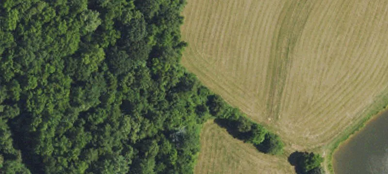 Land with Road Frontage