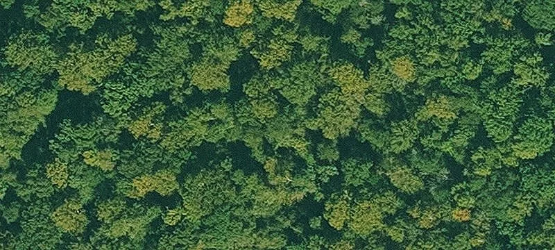 Land For Sale Sheridan, AR