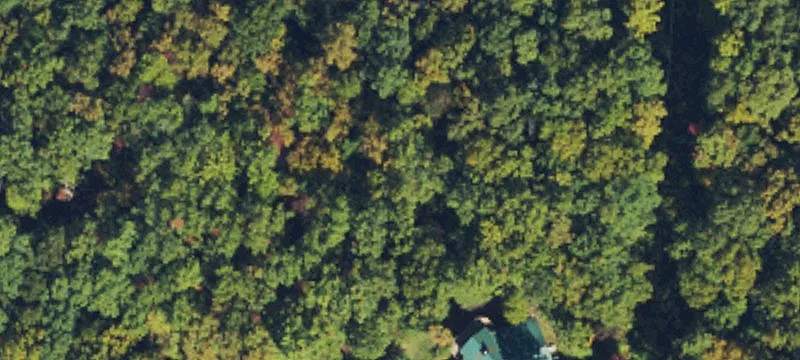 Land for Sale in Hayesville