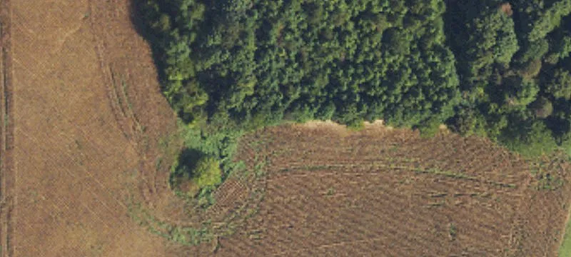 Residential Land for Custom Home