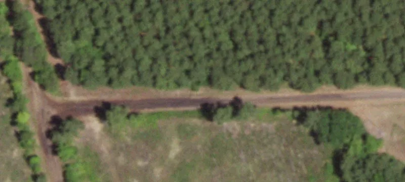 East Texas Recreational Acreage