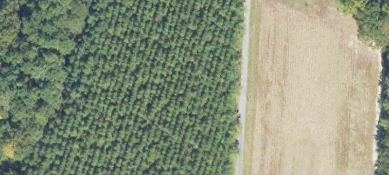 Hokes Bluff Wooded Acreage Homesite