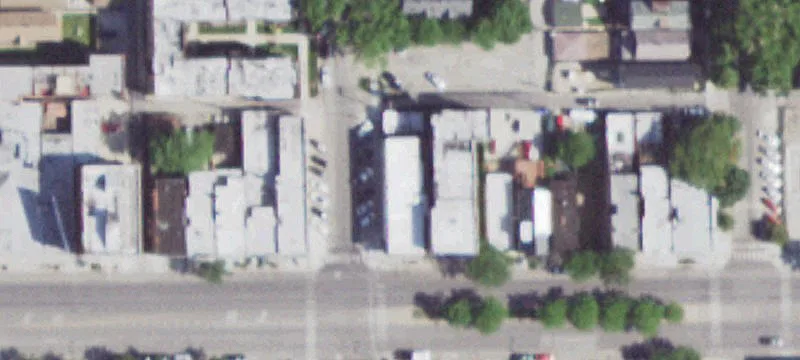 Established Bar in Irving Park