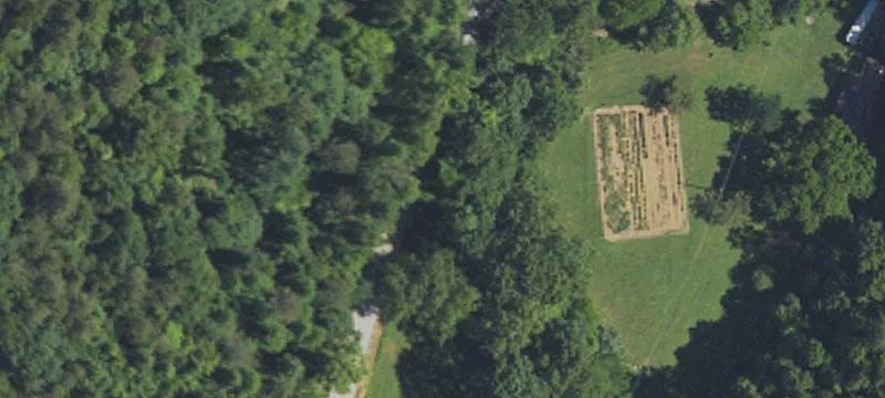 Heavily Wooded Hunting Land