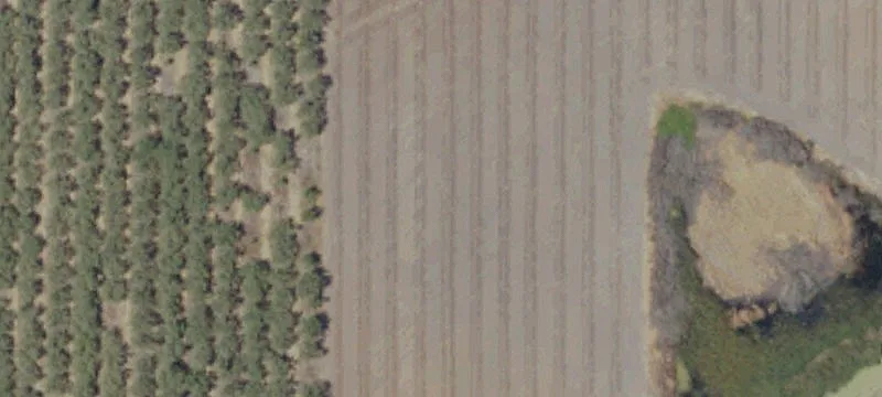 Silver Ridge Almond Ranch For Sale