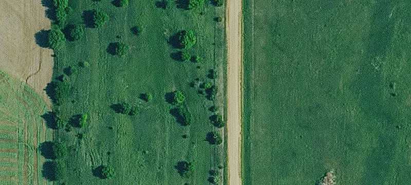 Farmland with Timber and Pasture