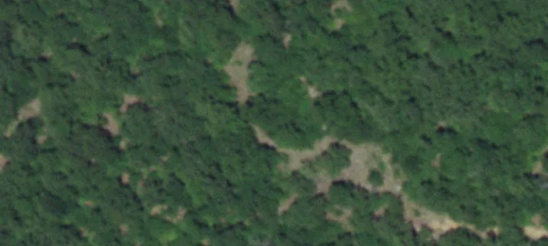 Versatile Land in North Lamar