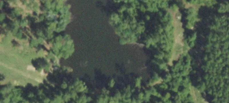 Unrestricted Land in East Texas