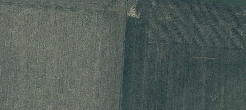 199 Acres of Farmland