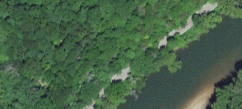 Wooded Retreat with Highway Frontage