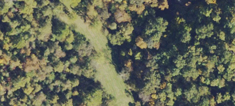 106+/- Acres Hunting/Timber Property