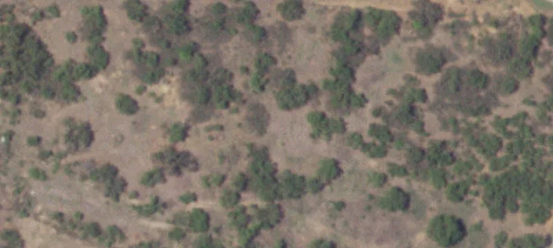 Llano, TX Homestead Property