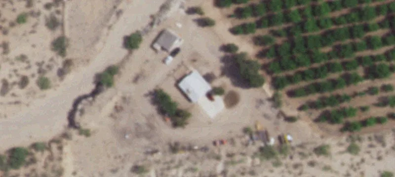 Established Pecan Orchard with Residence