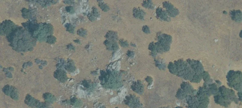 243.84 Acres of Rolling Land
