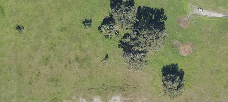 Palmetto Land Near Port Manatee