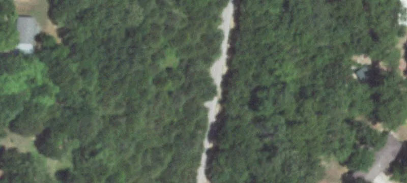 Wooded Lot Near Table Rock