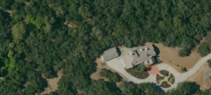 Producing Avocado Grove with Views