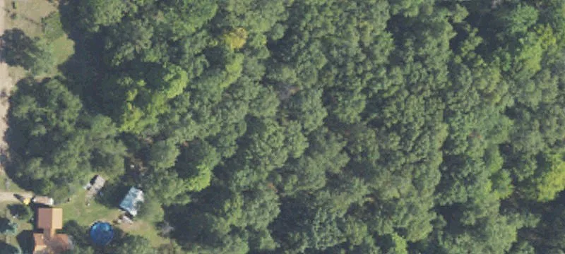 Industrial Land in White Cloud