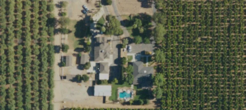Fresno Almond Orchard in SEDA