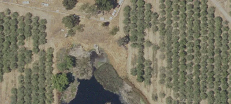 40 Acres of Almond Orchard