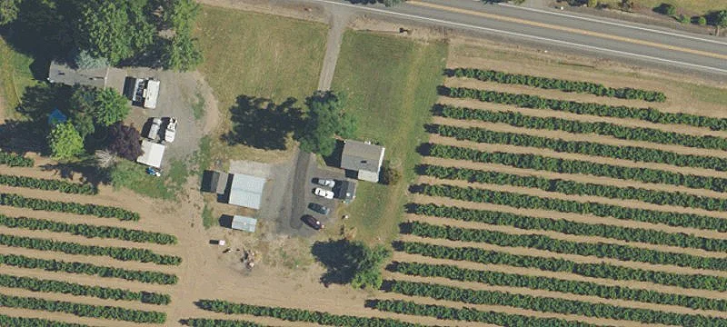Productive Hazelnut Farm in Hillsboro
