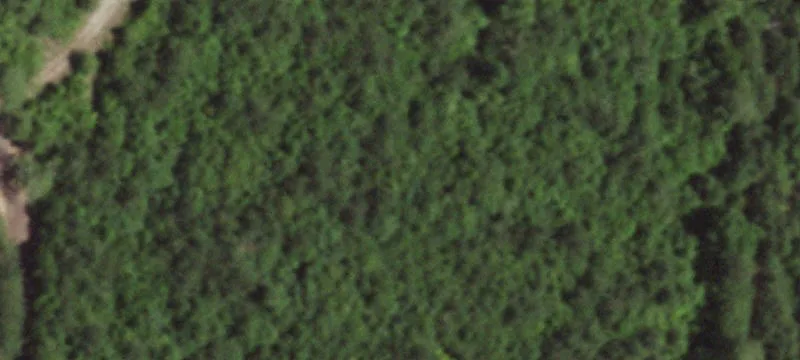 9.6 Acres Unrestricted Land