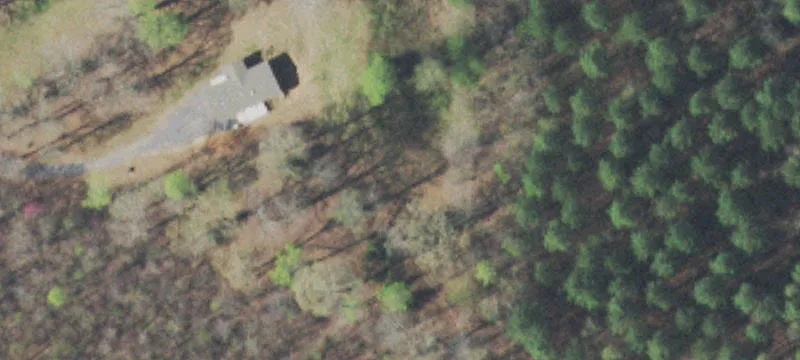 Unrestricted Land with Timber