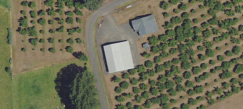 Hazelnut Farm with Modern House