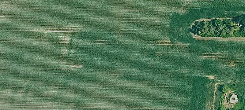 19.9 Acres of Farmland