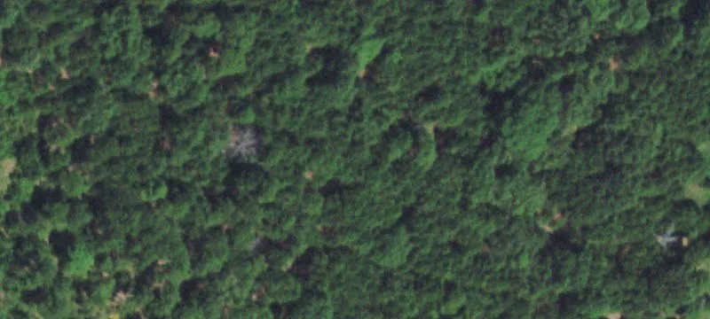 20 Acres Land in Welling OK