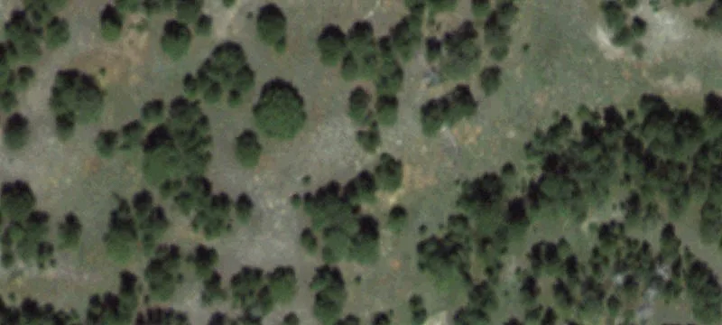 1,319 Acre Land Parcel