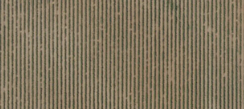 Stanislaus/Merced Counties Farm Opportunity