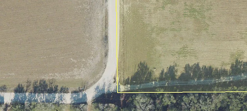 Cleared Land Ready for Homestead