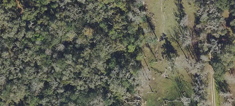 Dade City Income-Producing Land