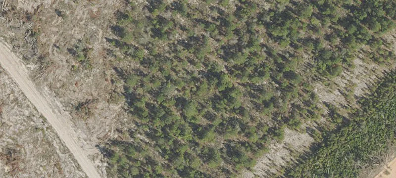 55-Acre Permitted Borrow Pit