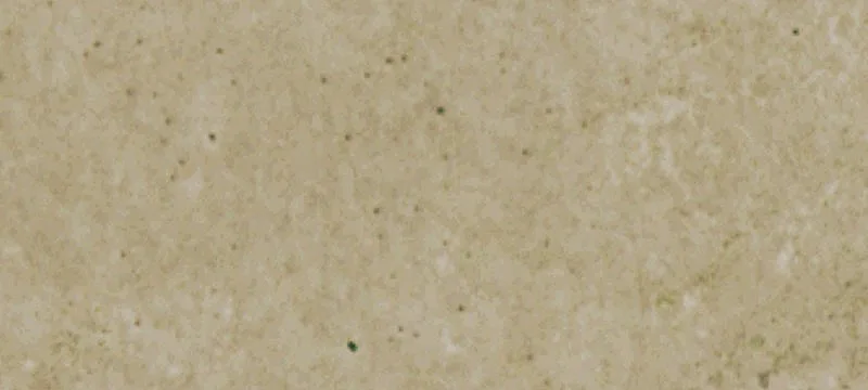 Land Bordering Large Ranch