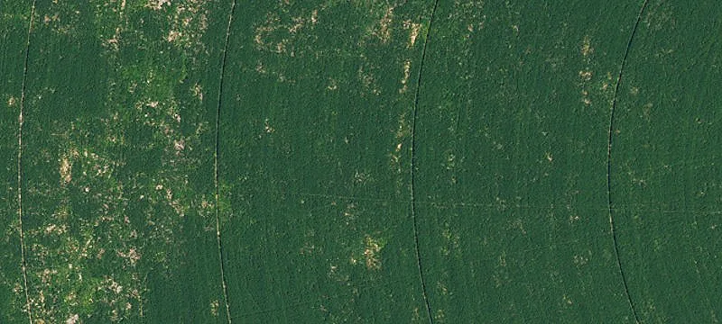 Nyssa, Oregon Farm Opportunity