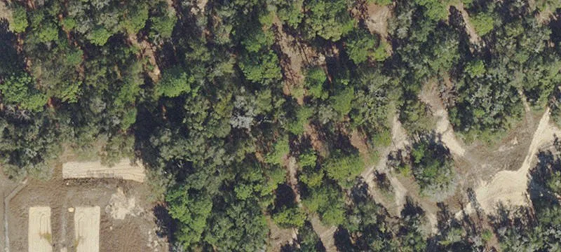 Residential Land in Floral City