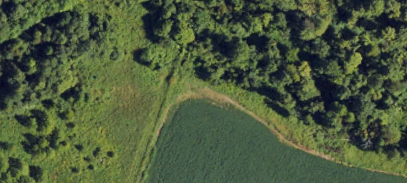 Certified Organic Farm with Panoramic Views
