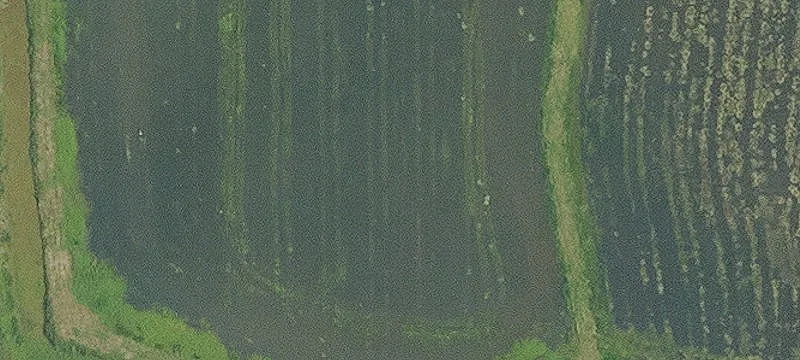 Bell City Acreage with Equestrian Features