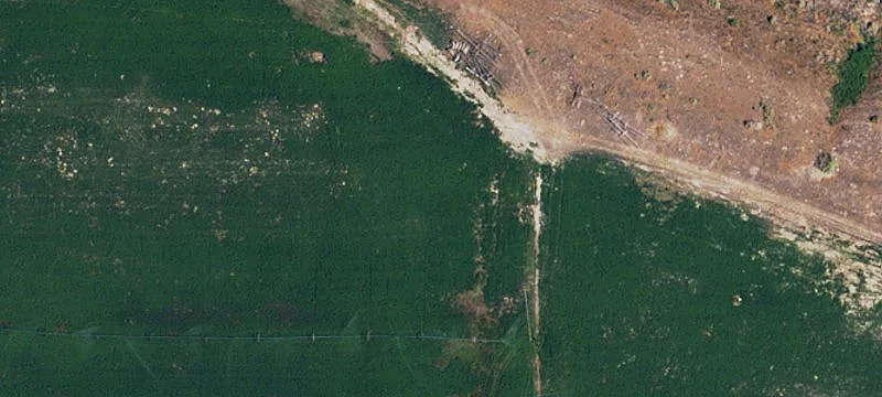 43 Acre Farm with Irrigation