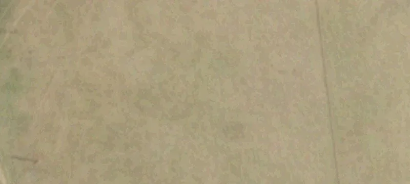 71.47 Acres Developable Land Lindale
