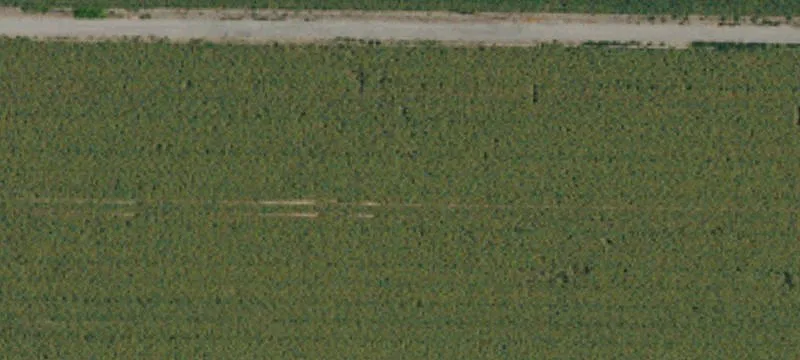 50 Acres of Farmland