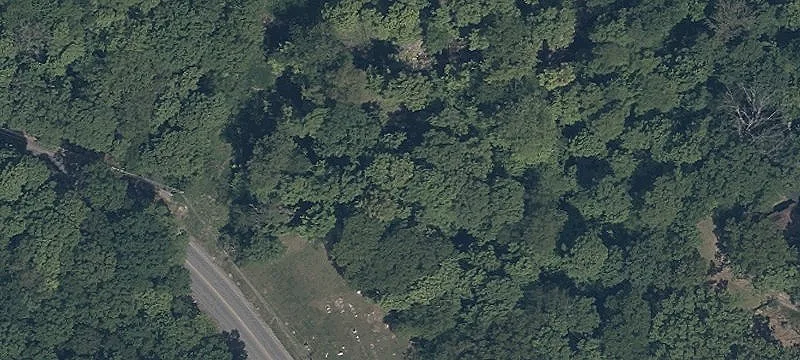 Special Purpose Property For Sale