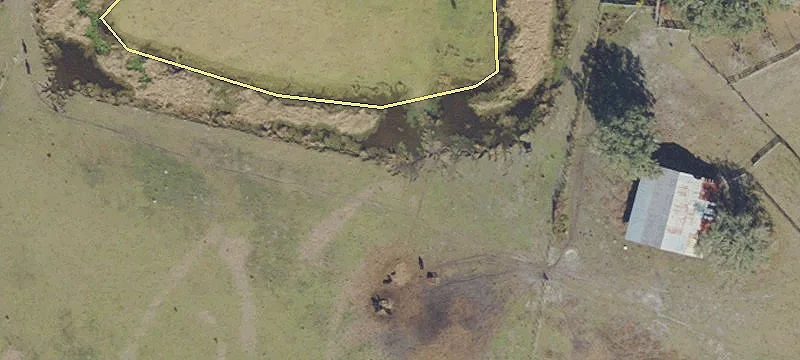 Ocala National Forest Farm Estate