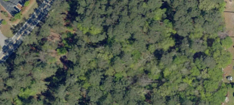 7.74 AC Developmental Tract