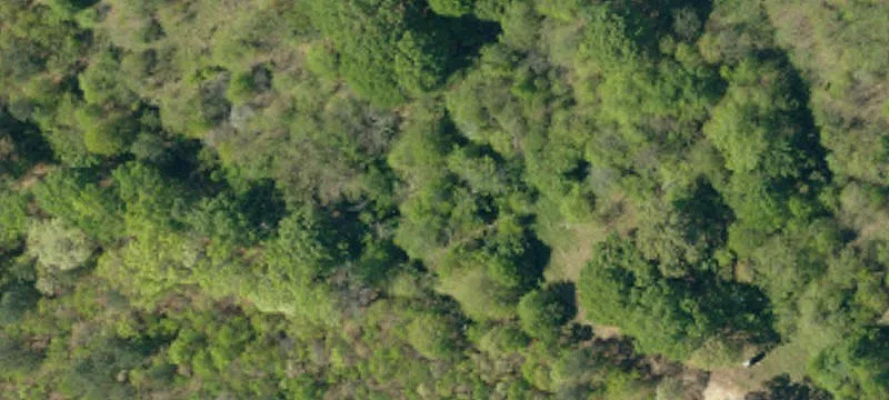 96.5 Acres Unrestricted Land