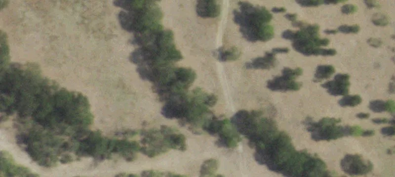 117.6 Acres with Country Cabin
