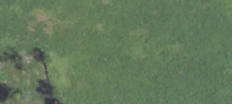 Land with Home and Barn